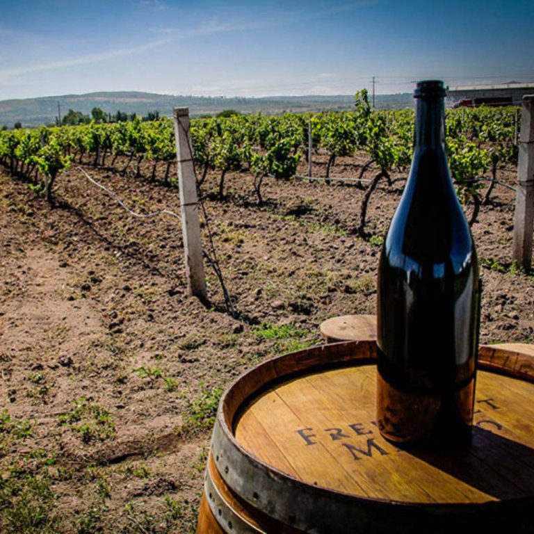 Alrededores Residencial La Capilla - Freixenet