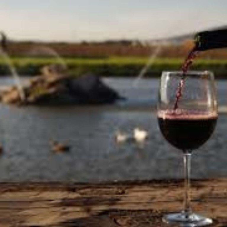 Alrededores Residencial La Capilla - Viñedos Azteca