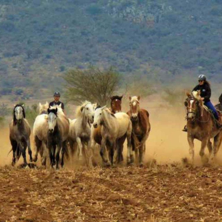 Alrededores Residencial La Capilla - Hacienda Tovares Ecuestre