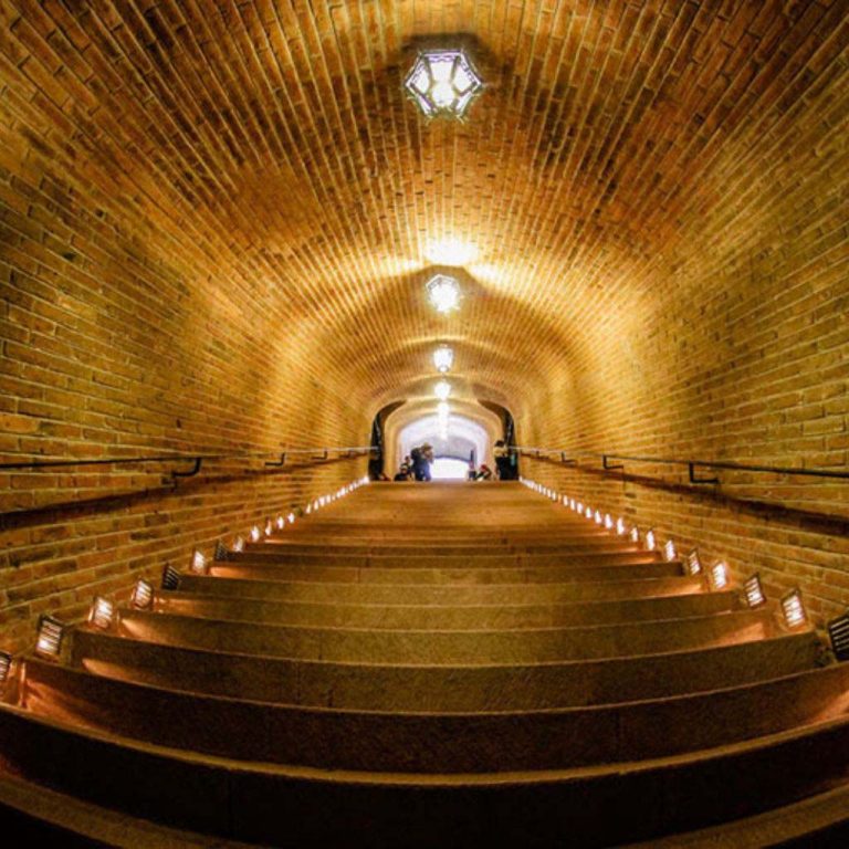 Alrededores Residencial La Capilla - Cave Freixenet