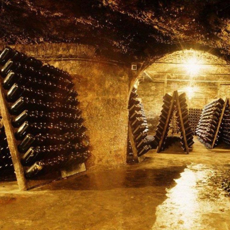 Alrededores Residencial La Capilla - Cava Freixenet