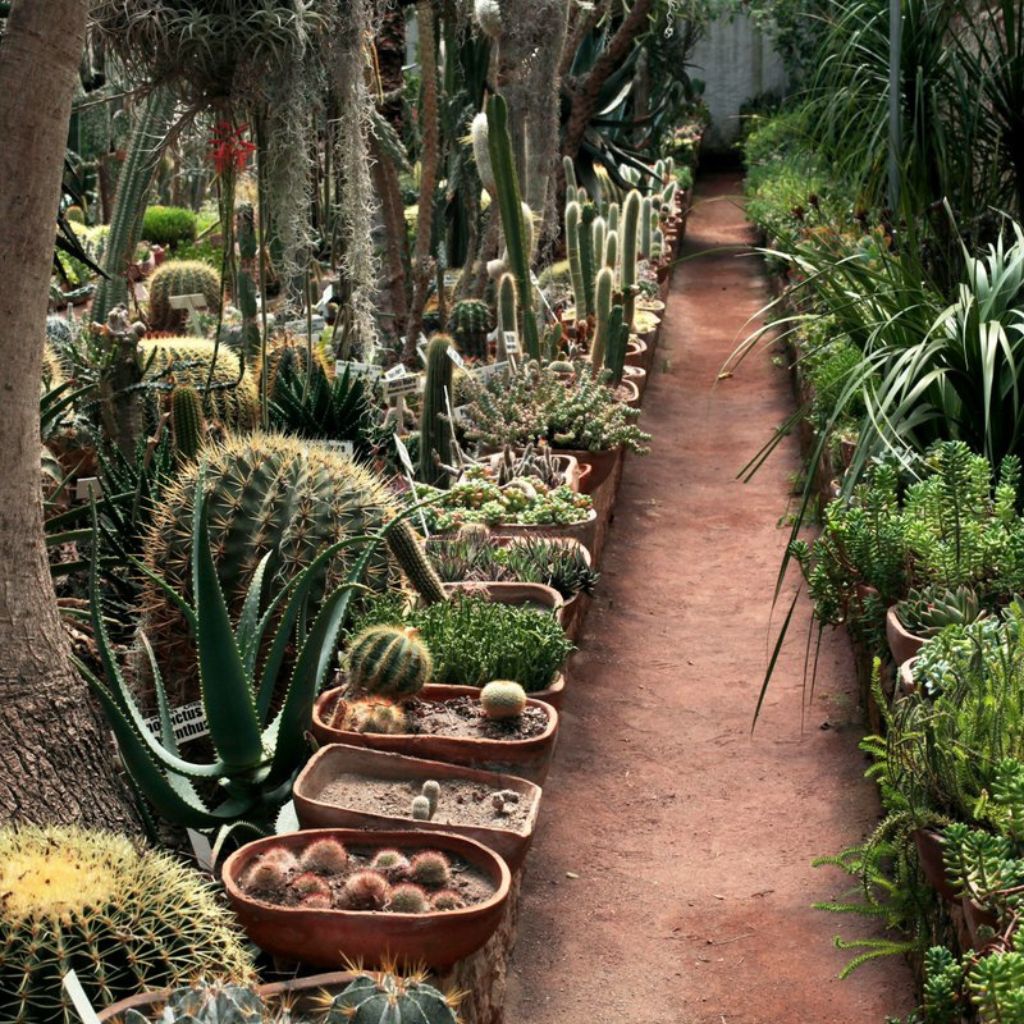 Jardín Botánico Regional de Cadereyta Ing. Manuel González de Cosío